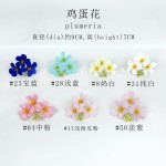 Frangipani Soap Flower Factory Birthday Gift