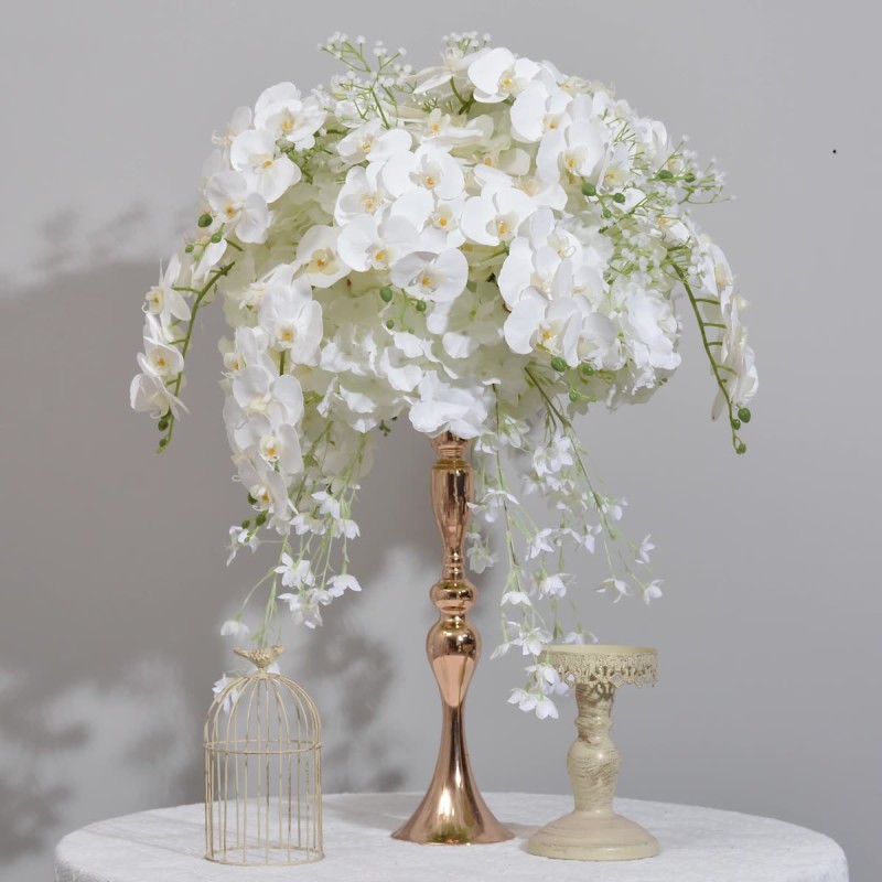 Butterfly Orchid Ball Factory Display Window