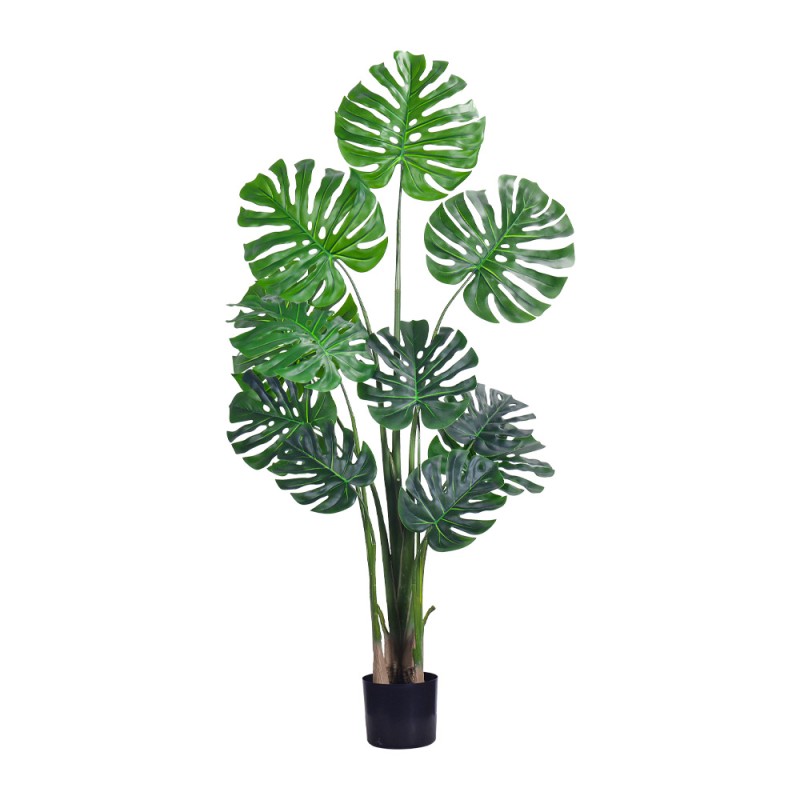 Turtle Shell Leaf Potted Plant Manufacturer M Design