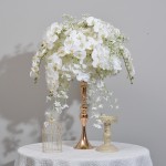 Butterfly Orchid Ball Factory Display Window