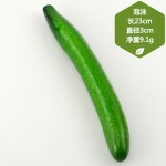 Vegetable Models Manufacturer Cucumber Bitter Gourd Props