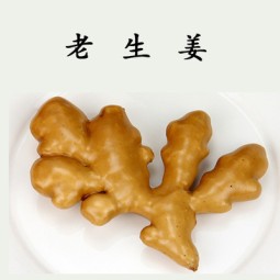 Ginger Lettuce Model Manufacturer Green Beans Educational Toys