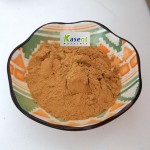 AHCC Powder Manufacturer - Bulk Mushroom Extract