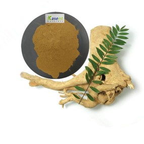 Tongkat Ali Root Powder Manufacturer - Bulk 100:1 200:1 Organic