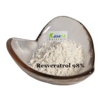 Resveratrol Powder Manufacturer - 50% 98% Giant Knotweed