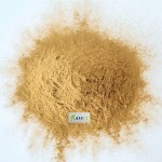 东卡阿里提取物供应商-有机1% 2%桉树酮粉末
