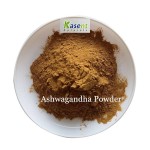 Ashwagandha Root Extract Manufacturer - Organic 10:1 Powder