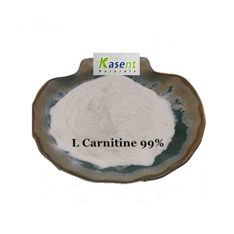 L-Carnitine HCL Manufacturer - Bulk Raw Material Powder