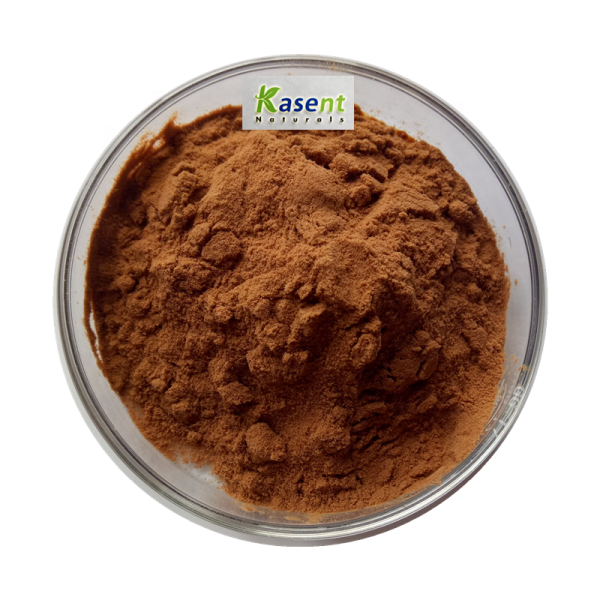 Green Coffee Bean Extract Manufacturer - Water Soluble Powder