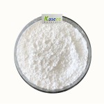 Cholesterol Powder Manufacturer - 99% Raw Material