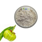 Hydroxycitric Acid Powder Manufacturer - Garcinia Extract Bulk
