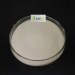 Resveratrol Powder Manufacturer - 50% 98% Giant Knotweed