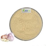 Garlic Extract Manufacturer - Allicin Black Garlic Powder