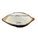 Marine Collagen Manufacturer - Bulk Hydrolyzed Fish Peptide