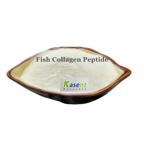 Marine Collagen Manufacturer - Bulk Hydrolyzed Fish Peptide