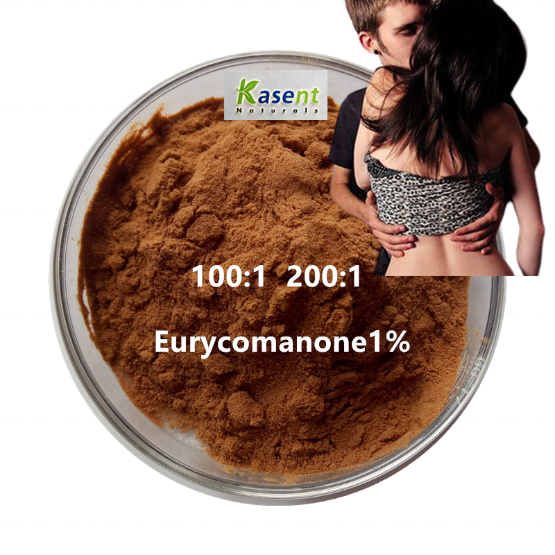 Tongkat Ali Extract Powder Manufacturer - Natural 10:1 100:1