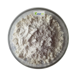 White Kidney Bean Extract Manufacturer - Wholesale Powder