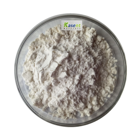 White Kidney Bean Extract Manufacturer - Wholesale Powder
