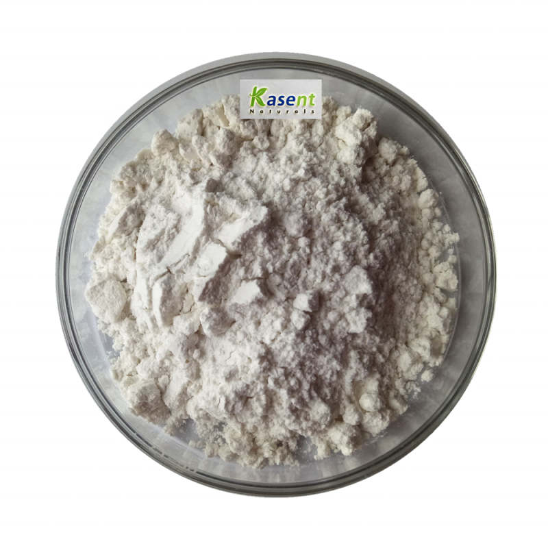 White Kidney Bean Extract Manufacturer - Wholesale Powder