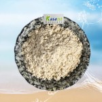 Resveratrol Powder Manufacturer - 50% 98% Giant Knotweed