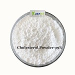 Cholesterol Powder Manufacturer - 99% Raw Material