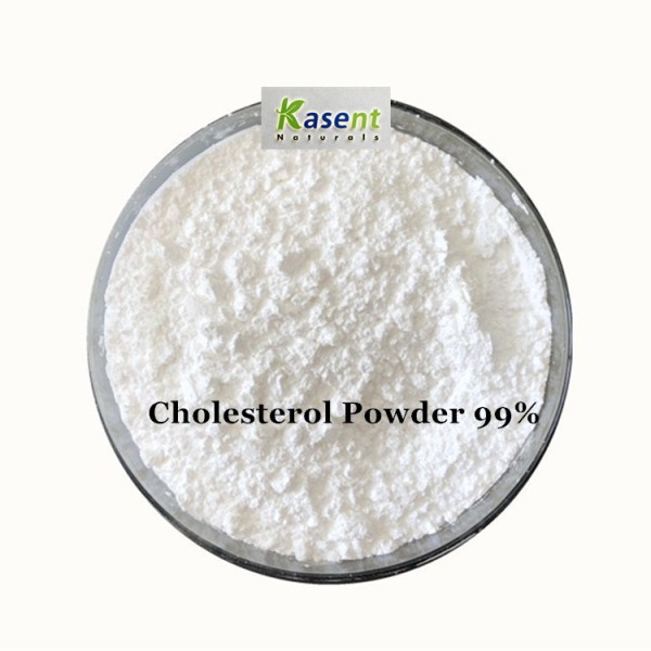 Cholesterol Powder Manufacturer - 99% Raw Material