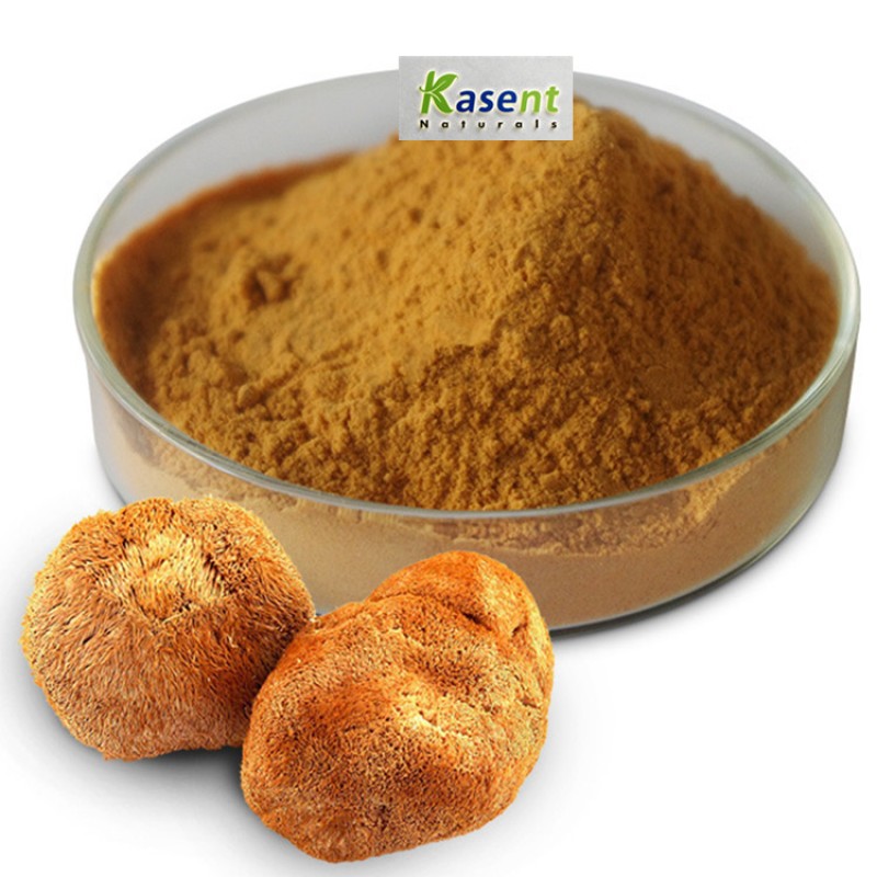Lions Mane Extract Manufacturer - Organic Mushroom Powder