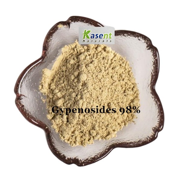 Gynostemma Extract Manufacturer - Organic 98% Powder