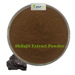 Shilajit Extract Manufacturer - 10% 50% 60% Fulvic Acid