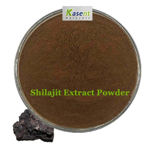 Shilajit Extract Manufacturer - 10% 50% 60% Fulvic Acid