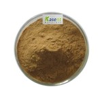 Senna Leaf Extract Manufacturer - 15% Sennoside Certificate
