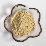 Gynostemma Extract Manufacturer - Organic 98% Powder
