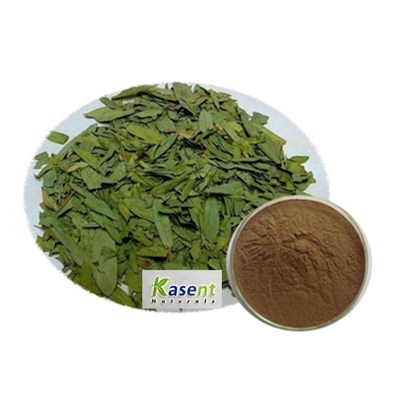 Senna Leaf Extract Manufacturer - 15% Sennoside Certificate