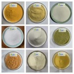 Gynostemma Extract Manufacturer - Organic 98% Powder