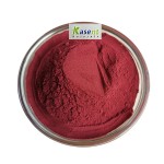 Beet Root Powder Manufacturer - Organic Red Beet Extract