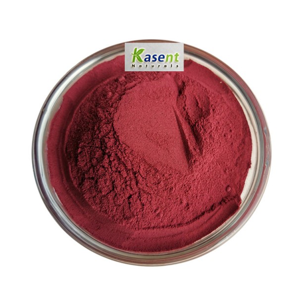Beet Root Powder Manufacturer - Organic Red Beet Extract