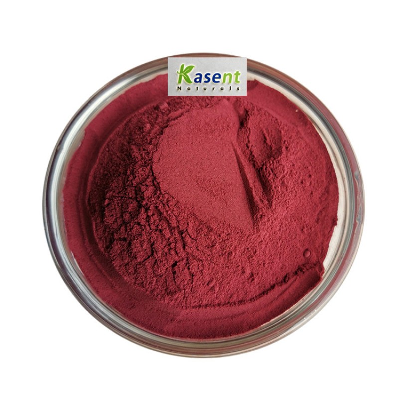 Beet Root Powder Manufacturer - Organic Red Beet Extract