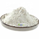 Griffonia Extract Manufacturer - 98% 5-HTP Powder