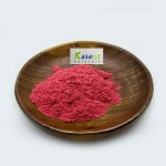 Beet Root Powder Manufacturer - Organic Red Beet Extract