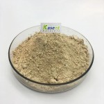 Gynostemma Extract Manufacturer - Organic 98% Powder