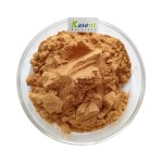 鹿茸提取物生产商-10:1 20:1 50:1粉末批发