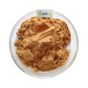 Deer Antler Extract Manufacturer - Wholesale 10:1 20:1 50:1 Powder