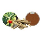 Ashwagandha Root Extract Manufacturer - Organic 10:1 Powder