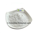 L-Carnitine Fumarate Manufacturer - 98% Pure Weight Management