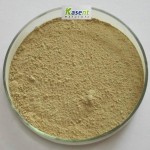 Gynostemma Extract Manufacturer - Organic 98% Powder