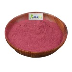 Beet Root Powder Manufacturer - Organic Red Beet Extract