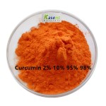 Curcumin Powder Manufacturer - 95% Curcuminoid Water Soluble
