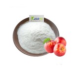 Apple Cider Vinegar Powder Manufacturer - 5% 10% Food Grade