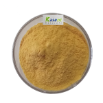 Lions Mane Extract Manufacturer - Organic Mushroom Powder