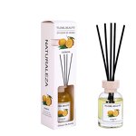 Reed Diffuser Manufacturer - New Arrival 100ML Fruit Scented Sticks for Home